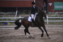 Jenni Ek - Biko (rekisterinimi Igo Drosmigais), 
© Rondy Stenman / Teresa Pollari