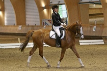 Kuva Primus / Emilia Alamäki