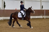 © Filippa Westerlund