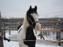 © Fanni-Lotta Haataja