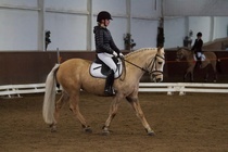 © Filippa Westerlund