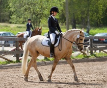 © Filippa Westerlund