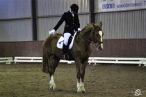 HeB, Cabu ja Elisa
(c) Sara Haanpää