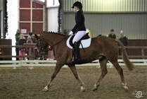 HeC, Rasmus ja Tia
(c) Sara Haanpää