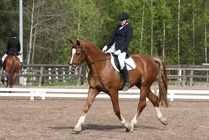 Krista Salli - Cabu
© Anna K