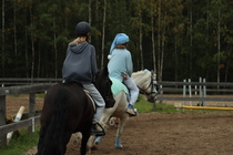 © Saara Hakonen