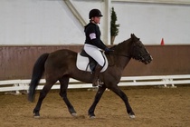 © Filippa Westerlund