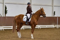 © Filippa Westerlund