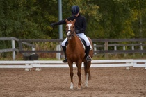 © Filippa Westerlund