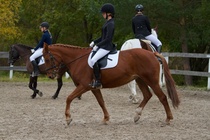 © Filippa Westerlund