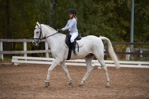 © Filippa Westerlund