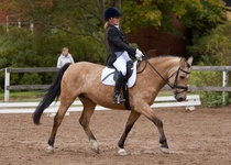 © Filippa Westerlund