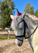 My Little Pony -juniorihubertus 2024.