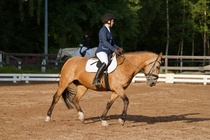 © Filippa Westerlund