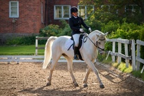 © Filippa Westerlund