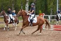 © Filippa Westerlund 