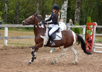 © Filippa Westerlund 