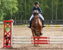 © Filippa Westerlund 