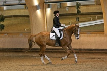 Kuva Primus / Emilia Alamäki