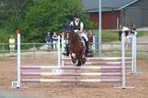 Kuva Primus / Emilia Alamäki