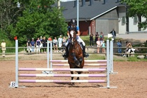 Kuva Primus / Emilia Alamäki