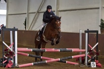 © Filippa Westerlund