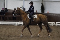 © Filippa Westerlund