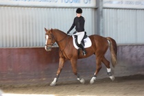 Jenni Kannelsalo - Cabu
© Anna K