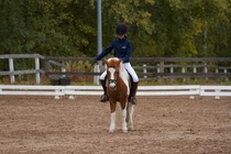 © Filippa Westerlund