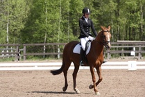 Milla Himberg - Mary
© Anna K