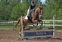Kuva Primus / Emilia Alamäki