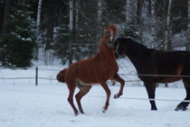 © Anne Barck