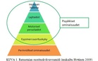 Ratsastajan suorituskykypyramidi, mukailtu Hyttinen 2009.
