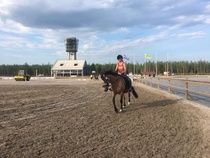 © Tia Mutikainen