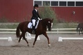 © Rondy Stenman / Teresa Pollari