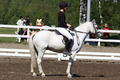 © Maija Virtanen & Tuula Falenius