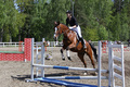 © Maija Virtanen & Tuula Falenius