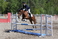 © Maija Virtanen & Tuula Falenius
