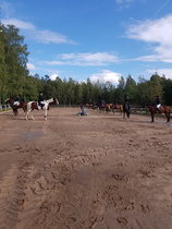 Kuva Milja Koskela