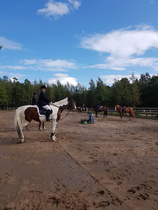 Kuva Milja Koskela