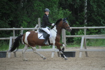© Rondy Stenman