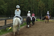 © Saara Hakonen
