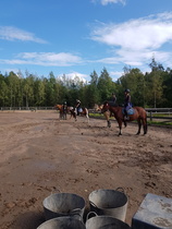 Kuva Milja Koskela