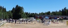 Kisatunnelmia sunnuntaina, kuva Maarit Seitsonen