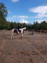Kuva Milja Koskela