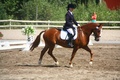 © Rondy Stenman / Teresa Pollari