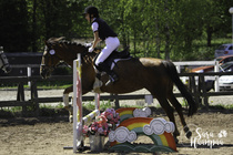 (c) Sara Haanpää