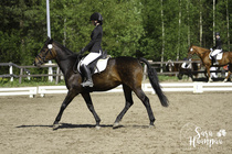 (c) Sara Haanpää