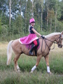 © Maiju Kaarsalo-Koskela