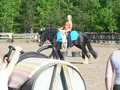 © Maiju Kaarsalo-Koskela